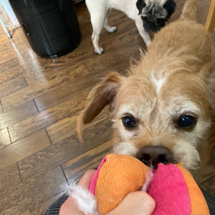 D8d86d06 9fb2 46da a955 a853b0b6640a 1697758177637