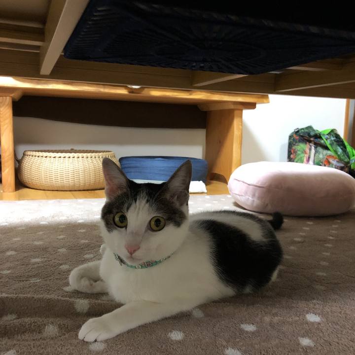 D8d86fa7 a671 460c beba 61d599da8334 1605270167919