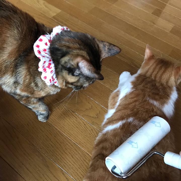 D8d8783a 0756 4ba3 9d24 1d6b92c7088b 1620688200169