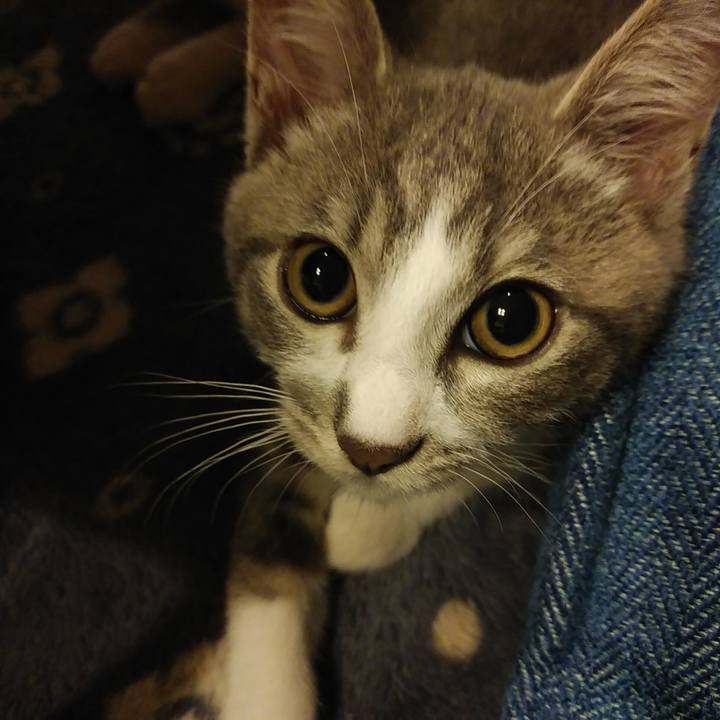 D8d89116 1618 447d 9dfa 76a4e281a95f 1564325556904