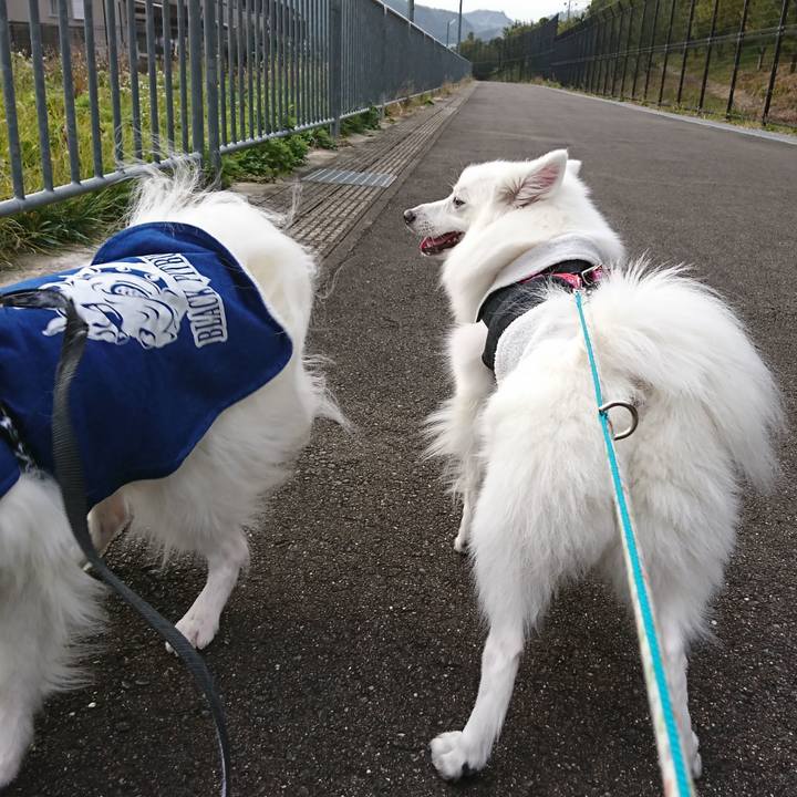 D8d89b8d 90a5 433d ad9f ae2d907db626 1578030036604