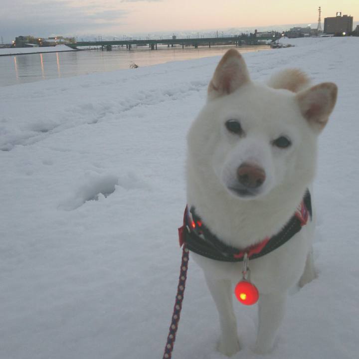 D8d8cecd fb2a 4a7c 85fd 35d129572c32 1611135176323