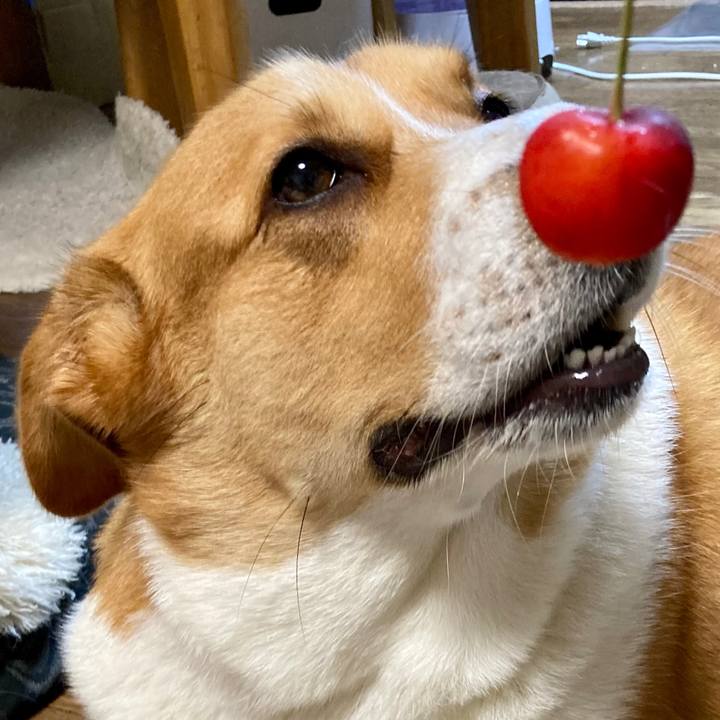 D8d8e5f3 e2eb 44b3 869b 3ae3f5f29fa1 1657325759453