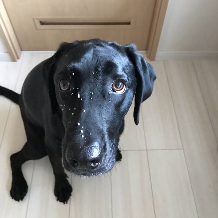 D8d9088b 5f2c 4d72 a126 5e427a5bd341 1542681634257