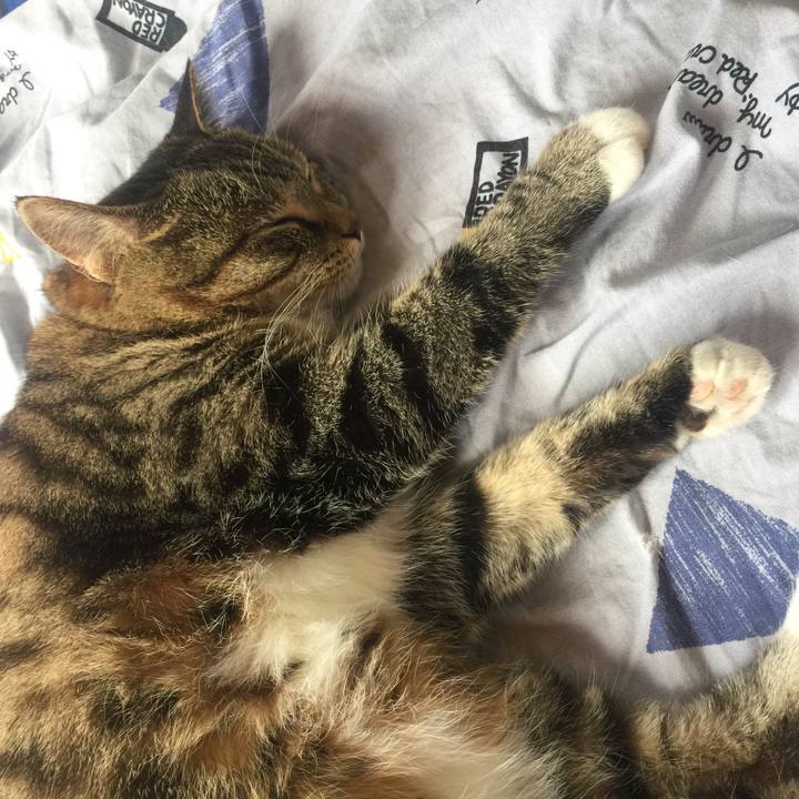 D8d998c2 09a0 40e7 bc21 462d9c619503 1564116709312