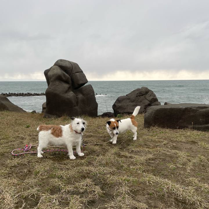 D8da0b66 d5f1 4f24 82e2 4ebe343441e9 1743201663826