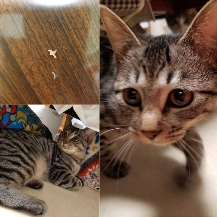 D8da0c80 ec1e 49e8 8f64 2d382f88fa2d 1673315320025