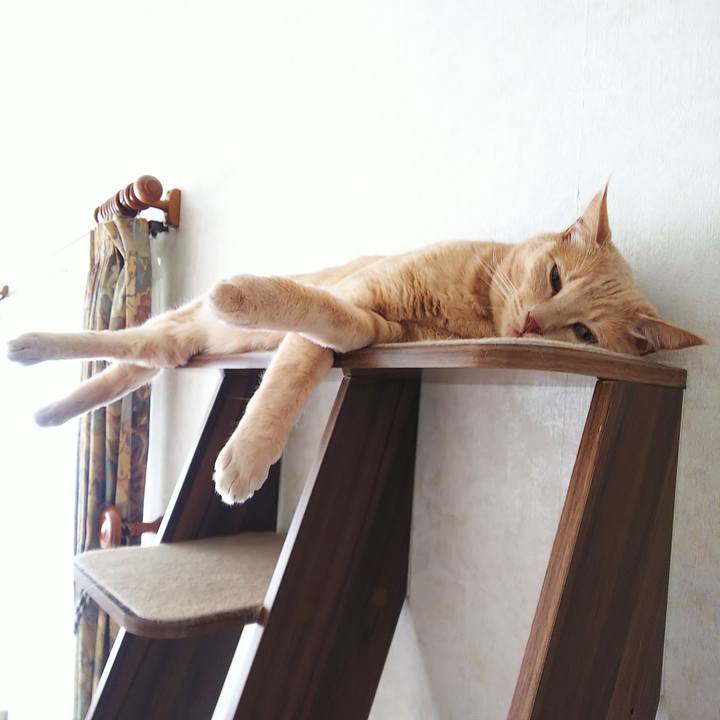 D8da12d6 5f10 4725 8791 9074ceba8ec0 1662420577199