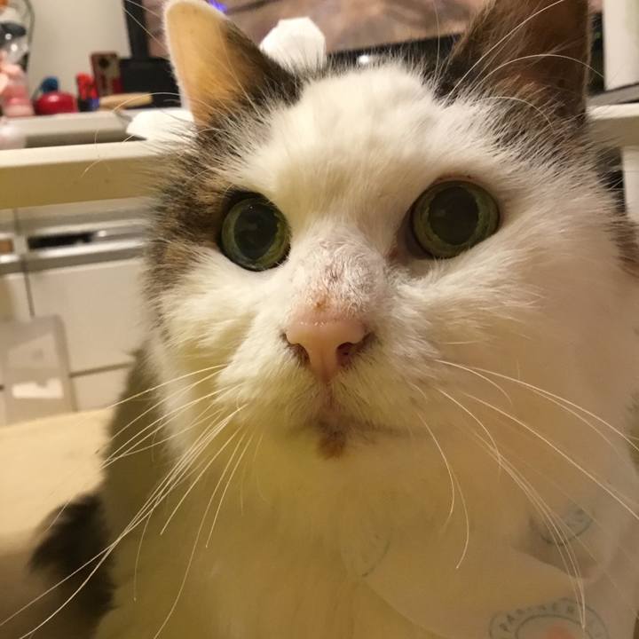 D8da6927 6d42 4a90 accf 997462d45538 1575934186383