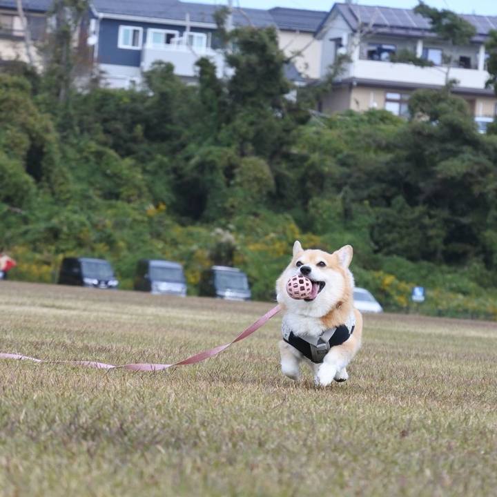 D8da844d acd8 4447 ade0 929557777bf1 1762168580381