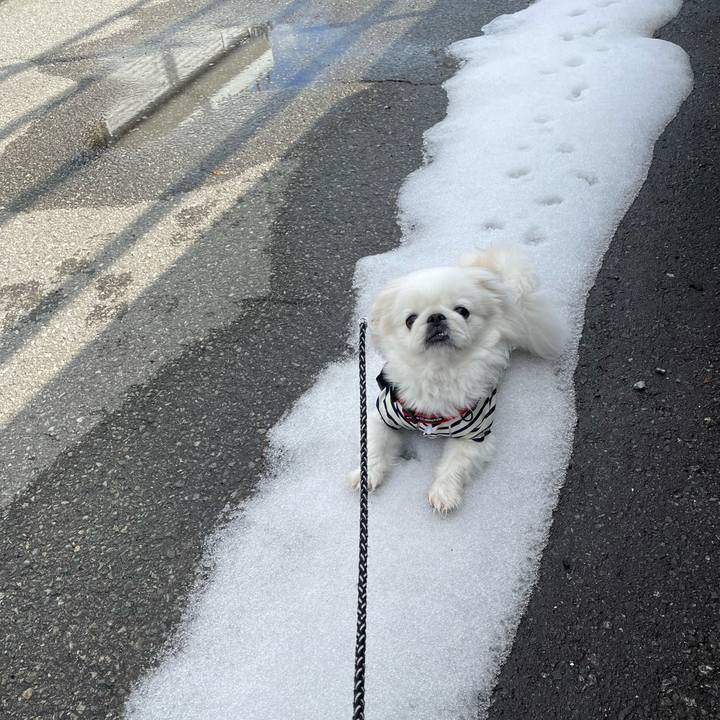 D8da9733 1403 4f7b be35 fd44cd86d301 1706597181000