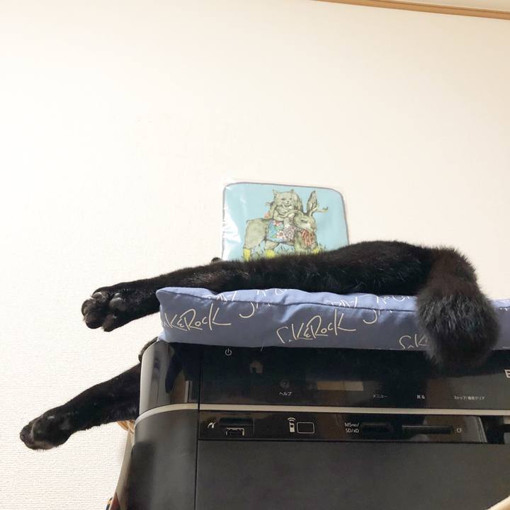 D8da9768 e1be 4314 aa9e eaac7341ae50 1529679804112