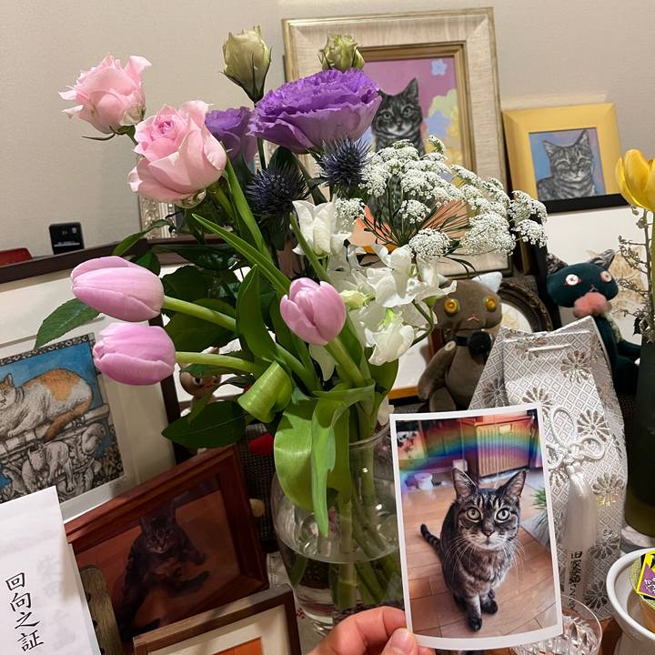 D8dabe55 bfb3 40b2 a650 fc8f1c581f58 1765269563089