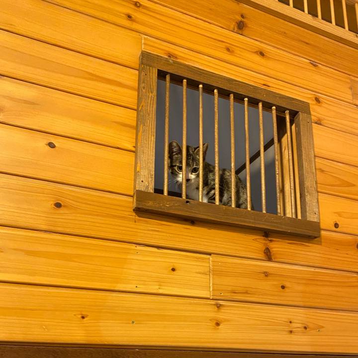 D8dafa31 3336 46c2 aafe f16cba3765c2 1692178429153