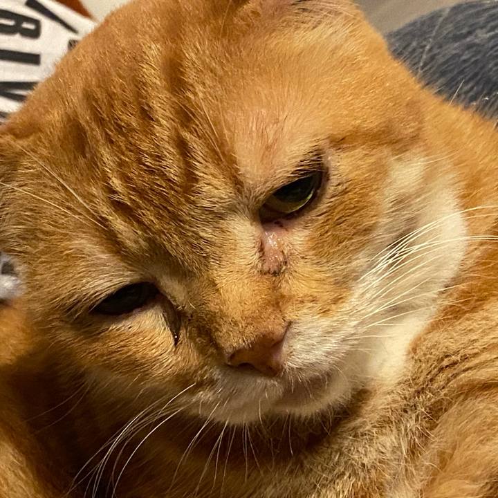 D8db05d7 e9c5 4187 b729 17f3b009b709 1625293144683