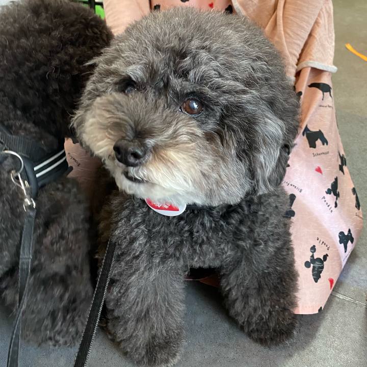 D8db11ff 51e8 4bfa a8f6 321643d8bc04 1634528526631