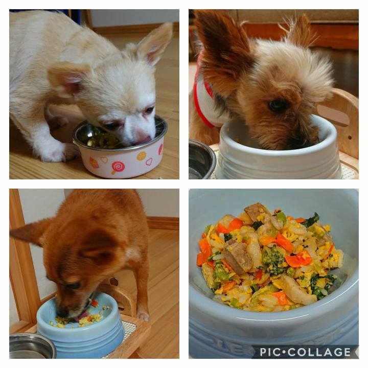 D8db1766 17eb 4240 803d 389b45bc5e50 1564916626130