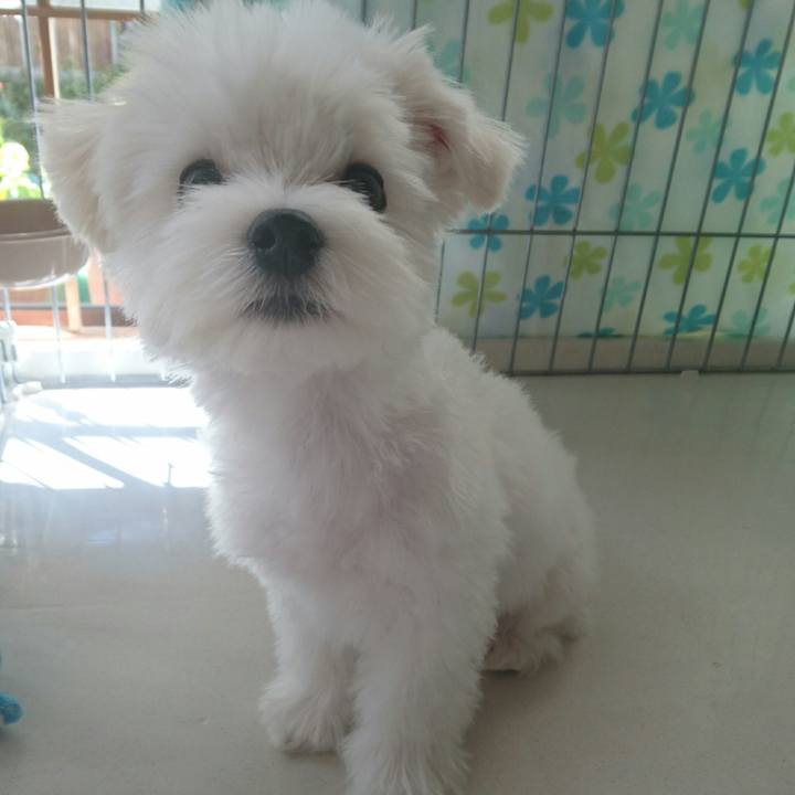 D8db71eb 3d16 4e1e 9bab 931dde4de493 1509331209046