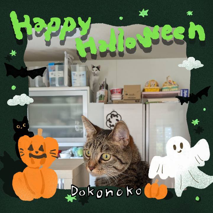 D8db8c5e f0ee 4507 8722 21c29e49e6f8 1730339533816