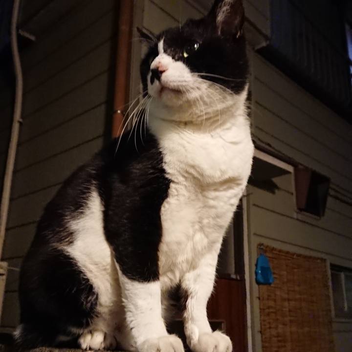 D8dbdbfe 3dee 40b2 a2c7 a24608f5cece 1534591047608