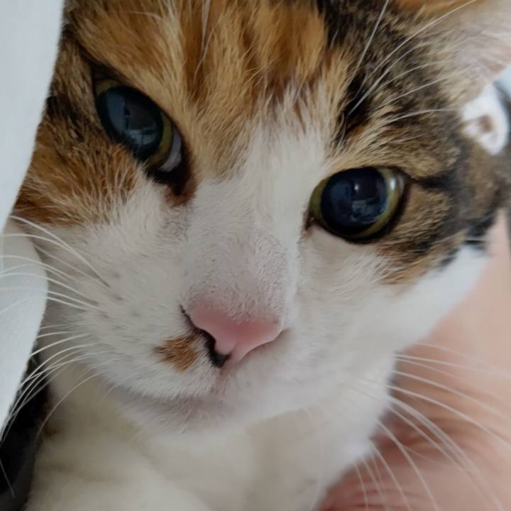 D8dbe070 c377 4cb3 8f04 f8a5c4d98388 1604313698510