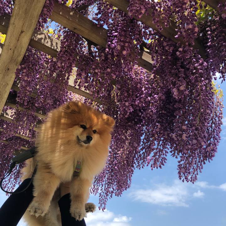 D8dc2b3b b399 4e8e 9cf4 7e4c15f35de3 1556936570796