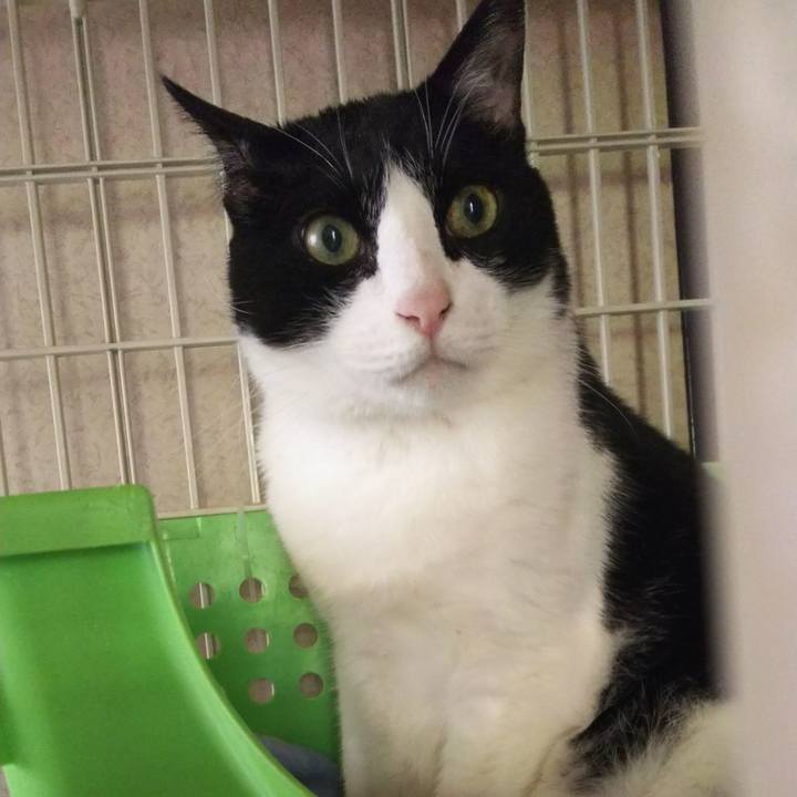 D8dc4394 28fa 4425 8e1f 16b0a8521211 1526957614722