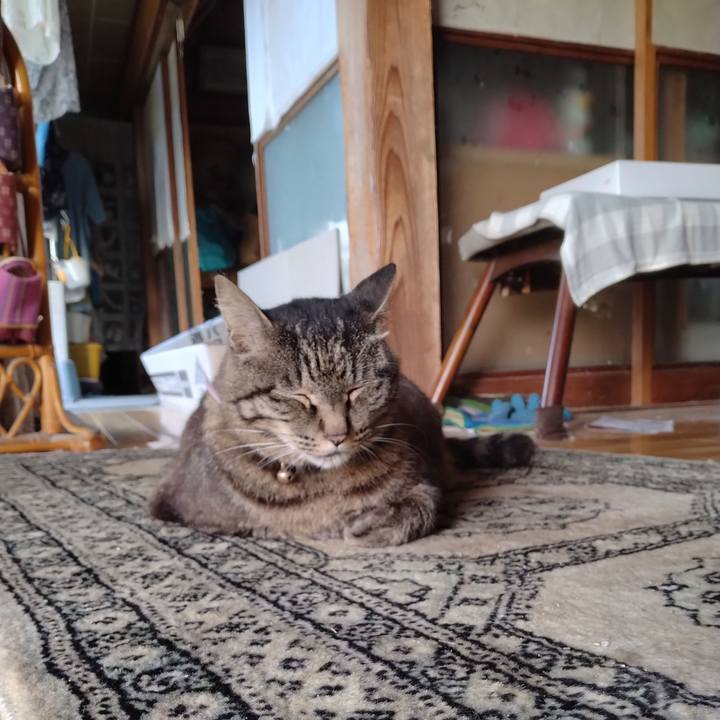 D8dc506a 9716 4b53 afc6 f5236fdc5934 1721514043903