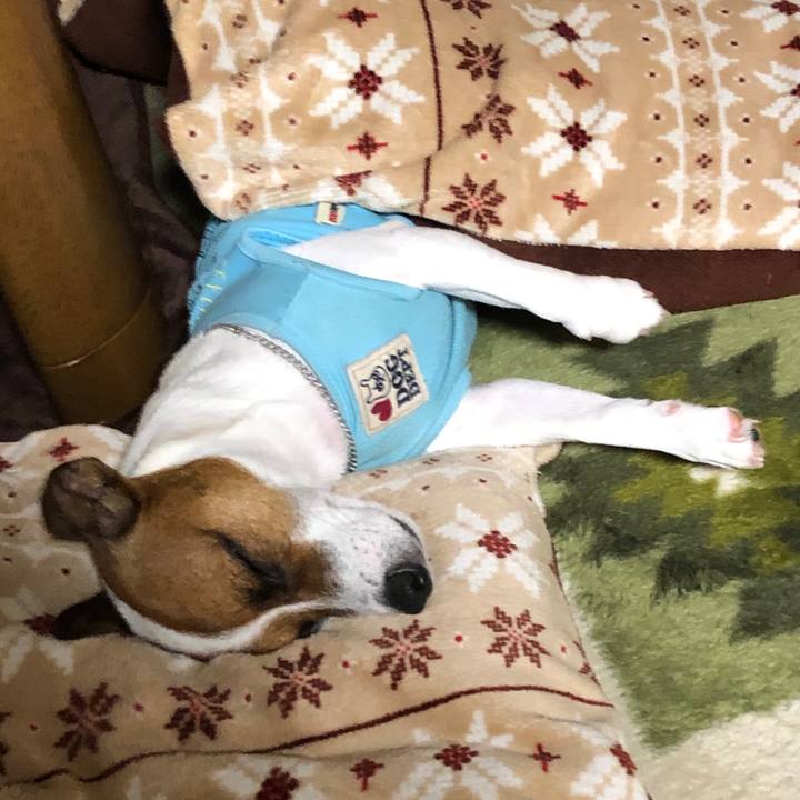 D8dcb8f1 3b95 4241 9761 f1a284d623b1 1566561442091