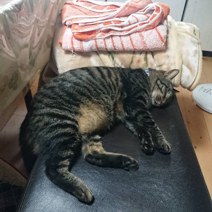 D8dce52a c7d4 42eb b32e 664826b4afaf 1663234823506