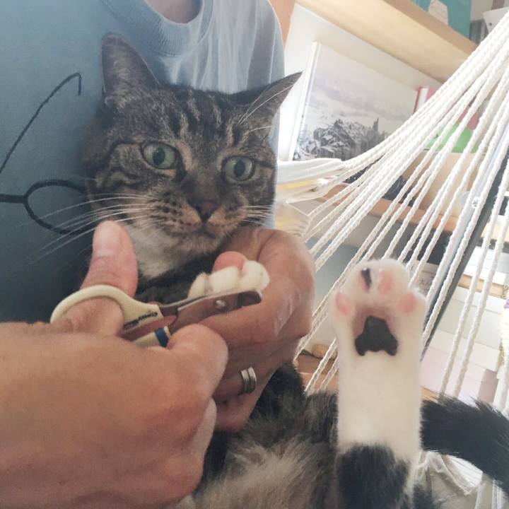 D8dd0071 e650 4a74 abf8 4acc7f846934 1536449911773