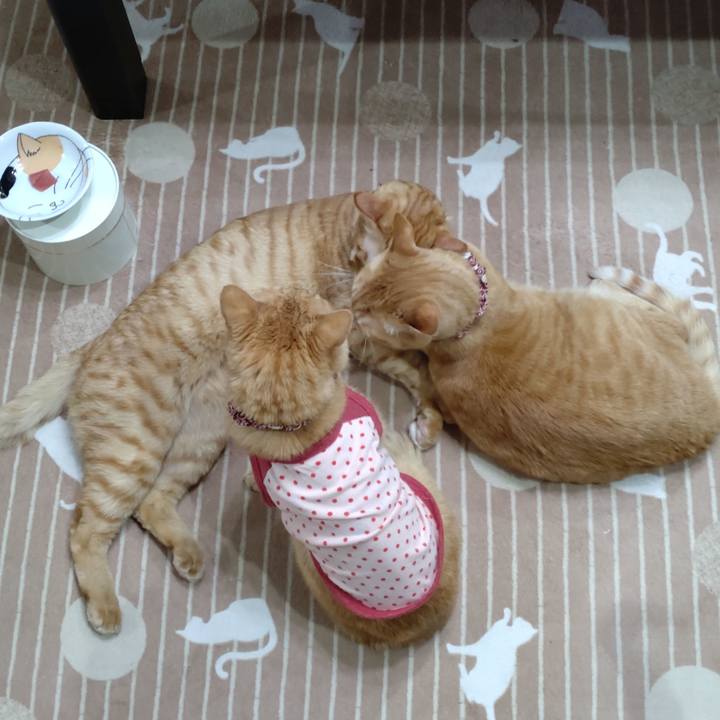 D8dd256b 351f 444b afa7 75fdfa257ad9 1708170431603