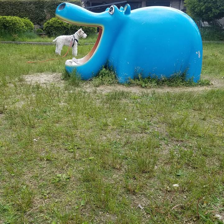 D8dd4e02 a854 4e98 ad71 664468faccaf 1557130996457