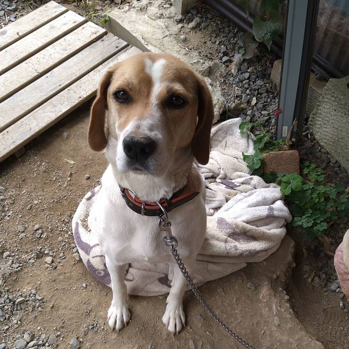 D8ddb339 d6ee 4e88 aac6 c5d65b7ba8cd 1624609808631