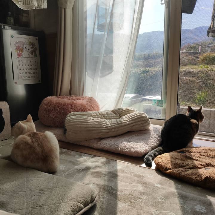 D8de0355 d5b7 43bc 878e f38454e38254 1668039401602