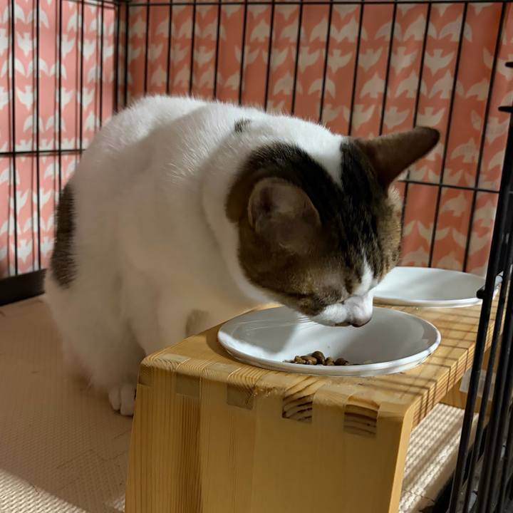 D8de0a44 d3ea 4db0 ad0a 658fd903c761 1772163434314