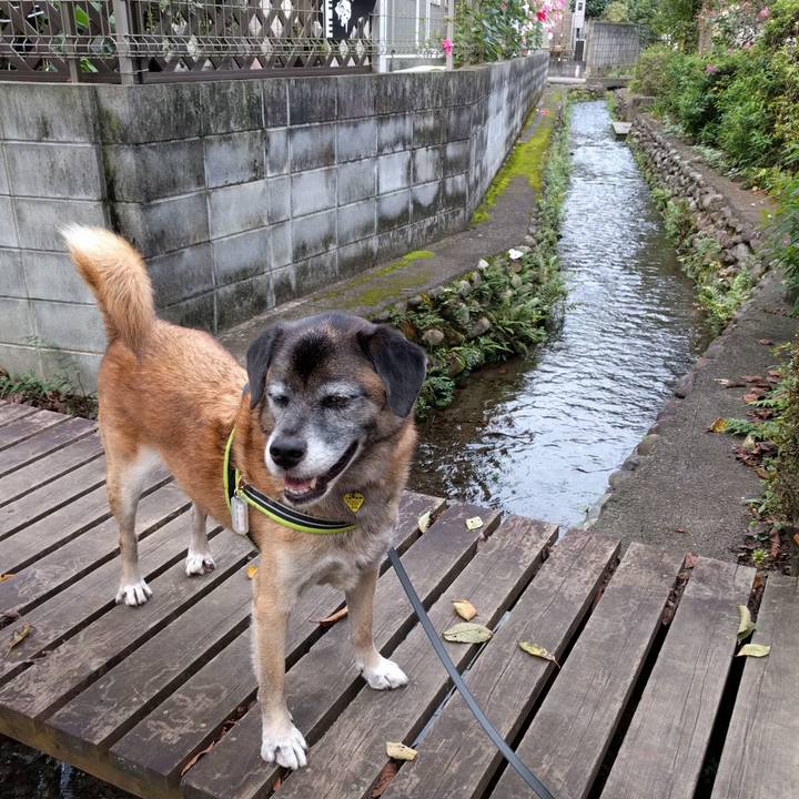 D8de18b3 837c 423b 920a 88f467167b61 1684284424281