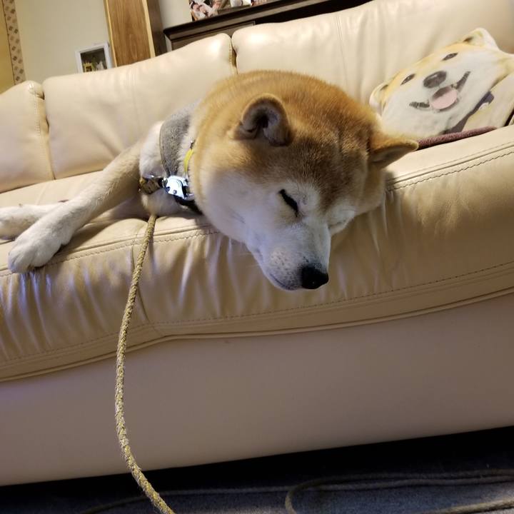 D8de273f 4b11 40a8 8689 0a2b27532af5 1679049064436