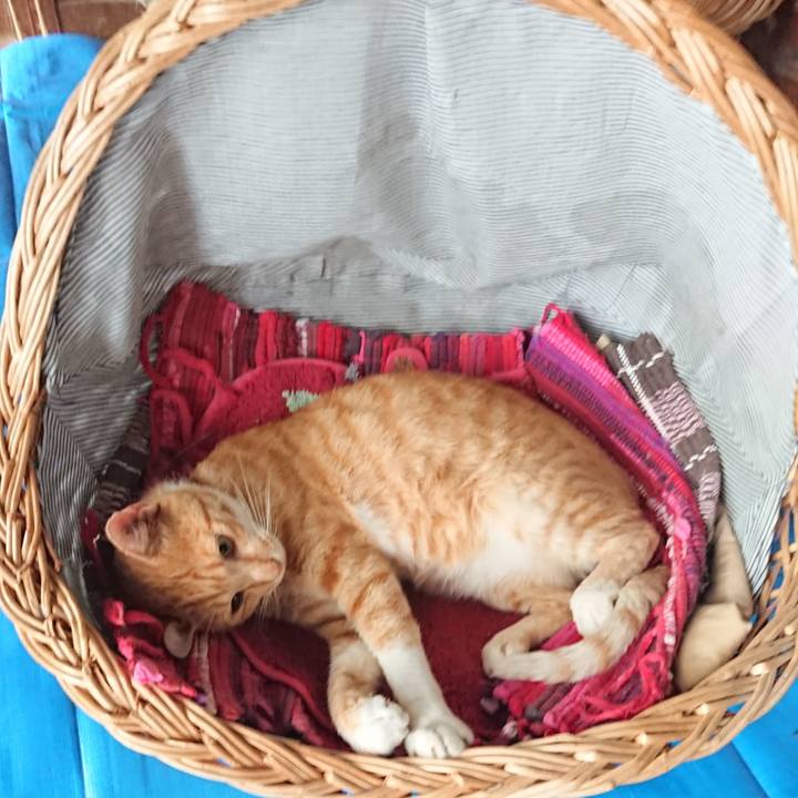 D8de4507 9708 47b7 8896 40b876894fc9 1563582948232