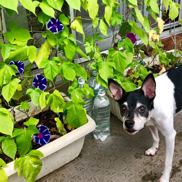 D8de494a 3cc2 4817 990b 62cac43eb6c8 1563669140425