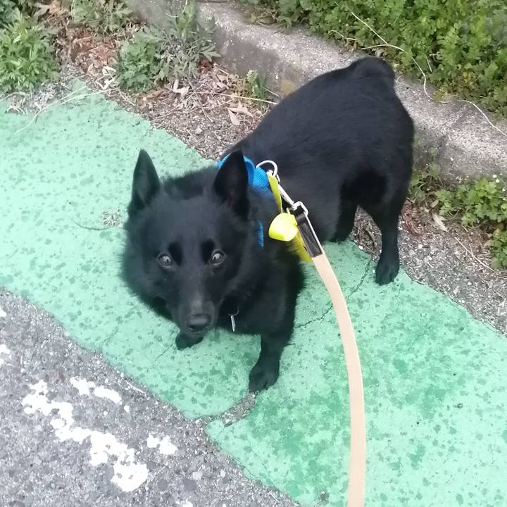 D8de565d 9cf0 4c0c a2fa 48fbfebf4747 1647552542591