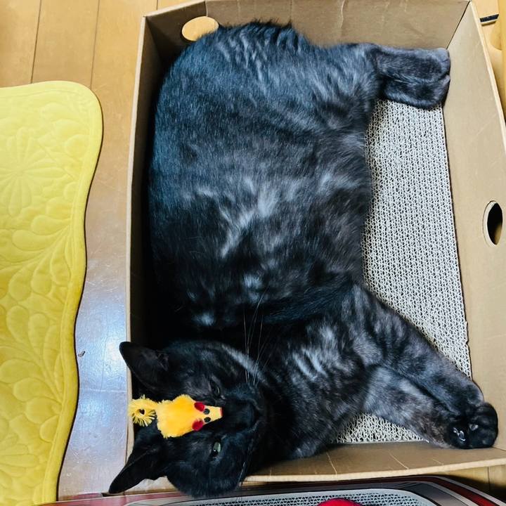 D8de6bc9 377b 4066 8ec2 7fb835b018ce 1745280620769