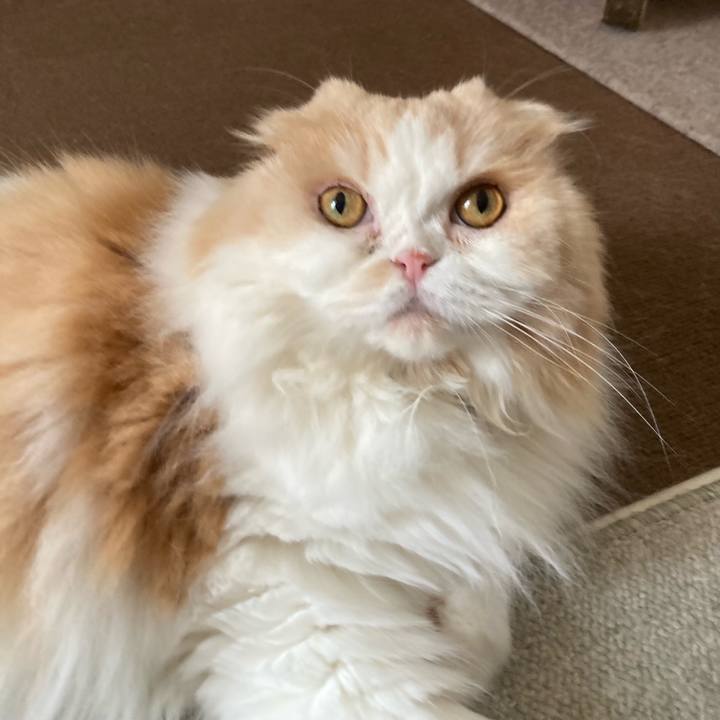 D8de6c80 99f7 44f9 bcdc 6bf02662cedb 1691401662564