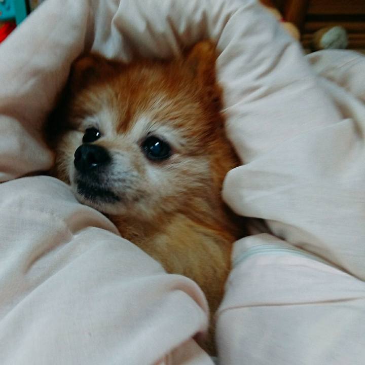 D8de7808 fbd7 4ffb 88d6 f7c175da5bee 1570922645353