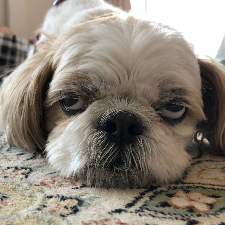 D8de892f 861e 453b 882c 1c19af0719d2 1559079990269