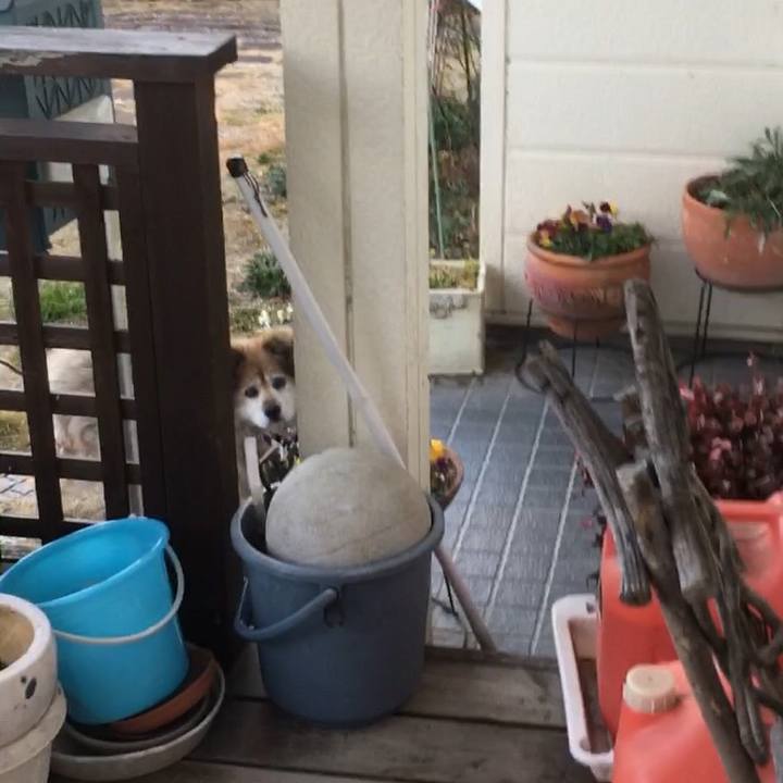 D8de93ea 747a 4403 a4bb 505af5ece798 1550134232909