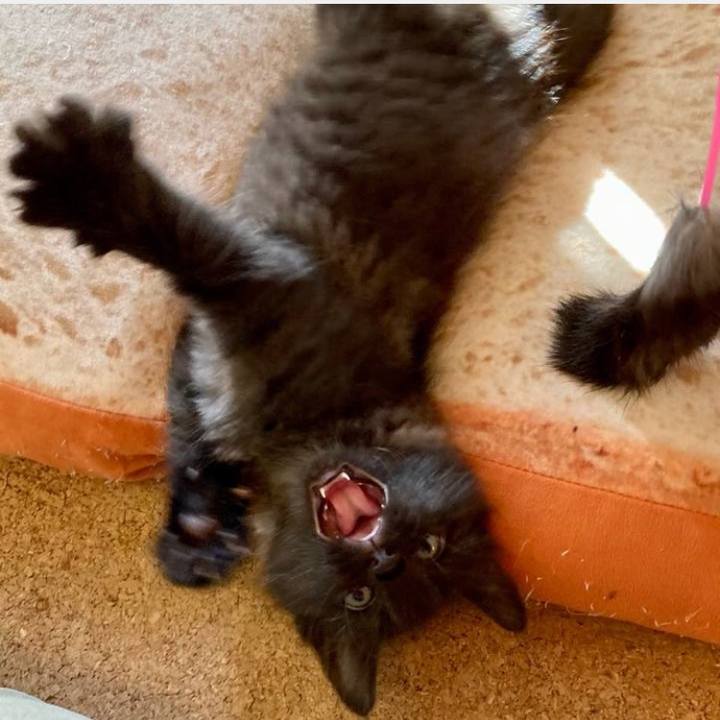 D8de971a 0ccc 4275 94ba 2967c0459693 1761561367068