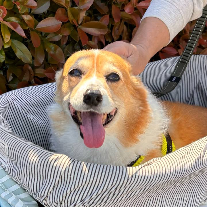 D8deaa23 8ec3 4373 b6ce bb797b5db2da 1776303628966