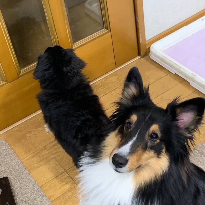 D8def2c7 2dd4 44b1 9397 a929e19326a9 1550614342350