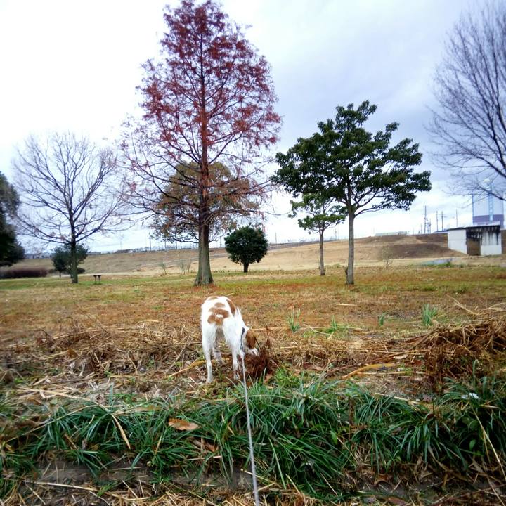 D8def51f 4fa3 4ae8 bab0 531f7aebb2a7 1515398957588